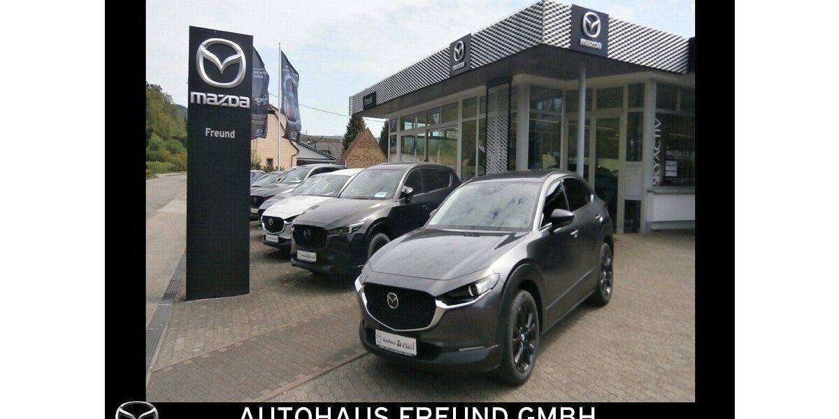 Mazda CX-30 3.300 km 27.950 &euro; Fischbach bei Dahn 66996