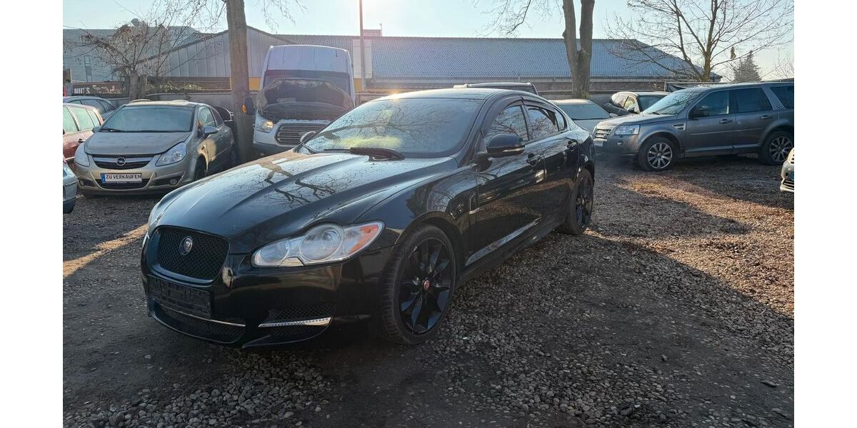 Jaguar XF 262.000 km 4.490 &euro; Berlin 12349