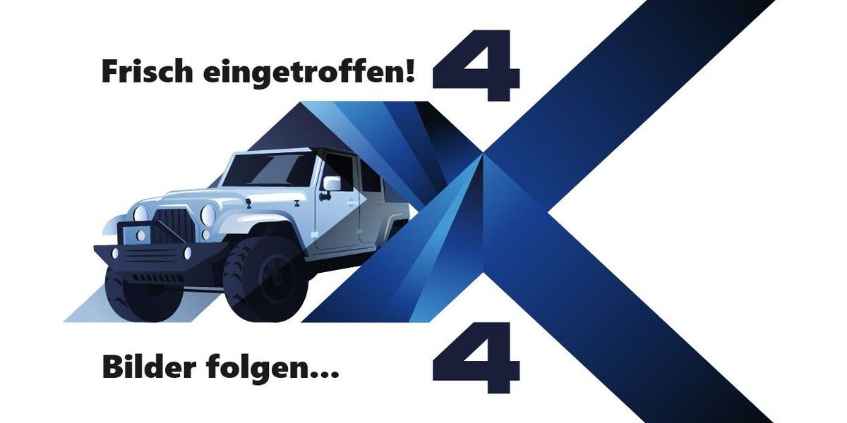 Toyota Tundra 224.000 km 25.900 &euro; Wörrstadt 55286