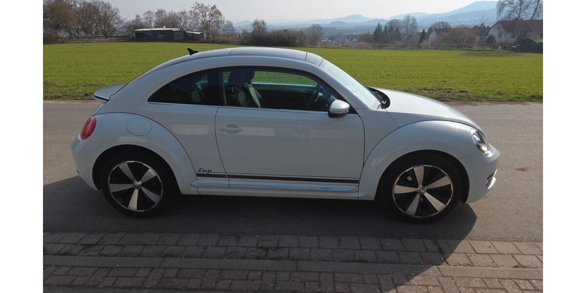 VW Beetle 64.715 km 12.900 &euro; Schauenburg 34270