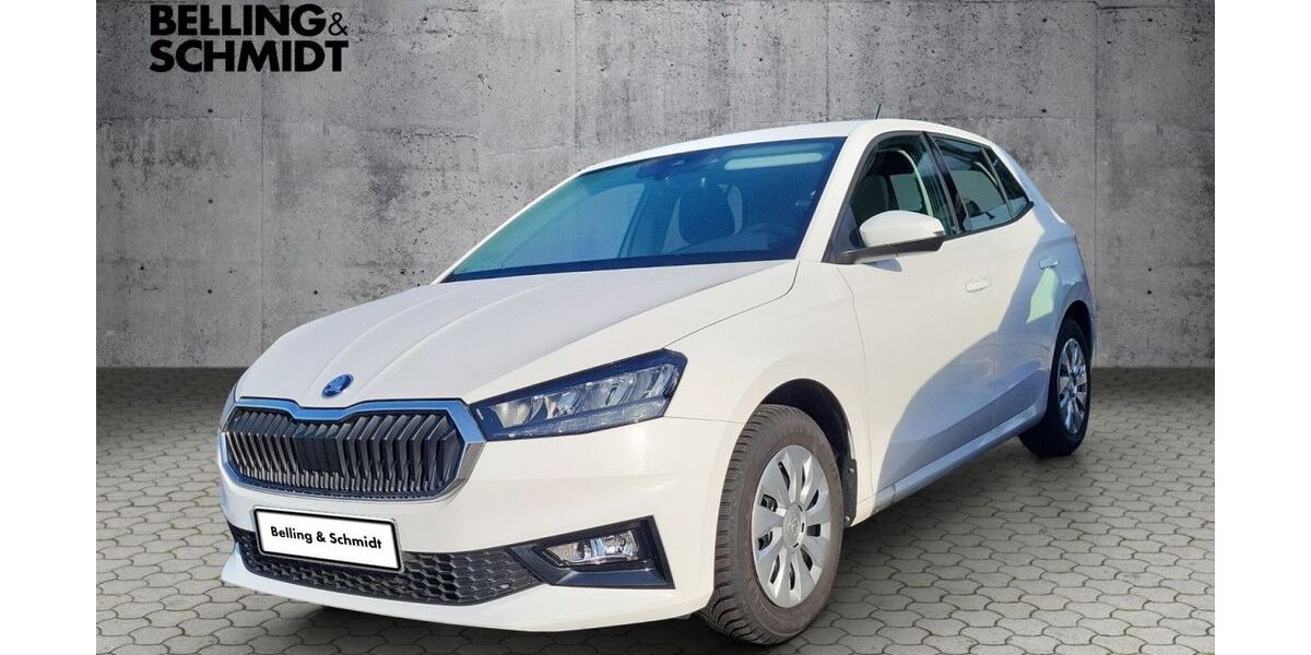 Skoda Fabia 5.000 km 18.990 &euro; Dannenberg 29451