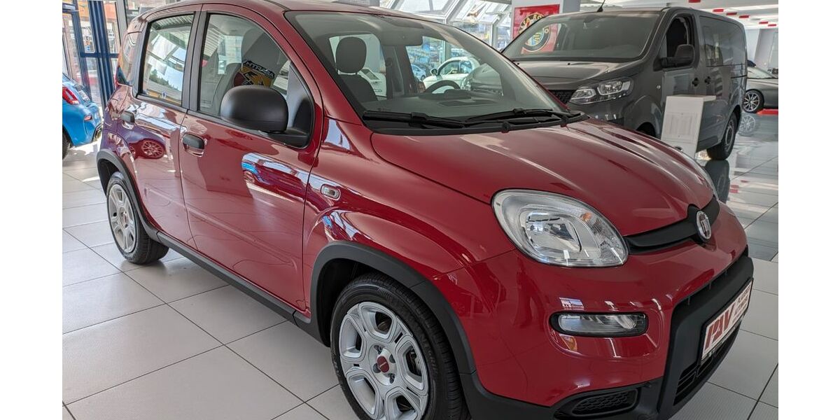Fiat Panda 3.700 km 12.490 &euro; Plauen 08527