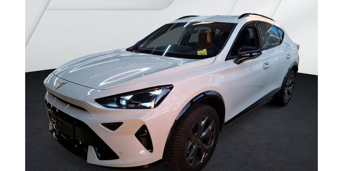 Cupra Formentor 25.700 km 31.980 &euro; Balingen 72336