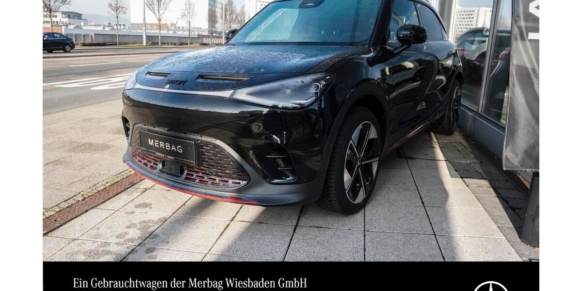 Smart #1 8.950 km 35.770 &euro; Wiesbaden 65189