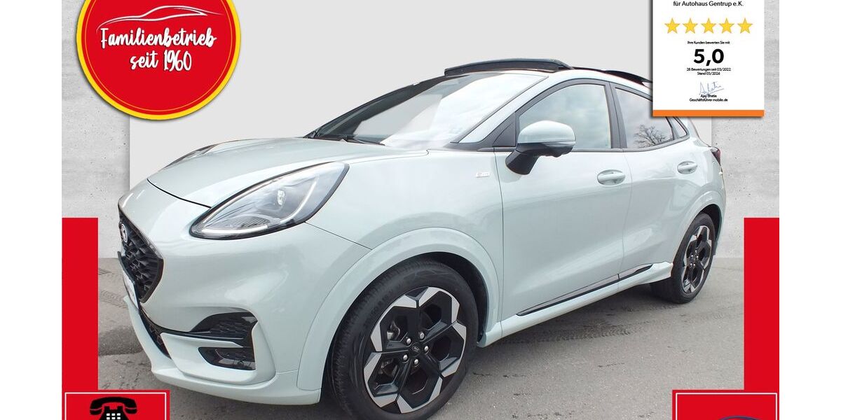 Ford Puma 16.900 km 23.950 &euro; Langenberg 33449
