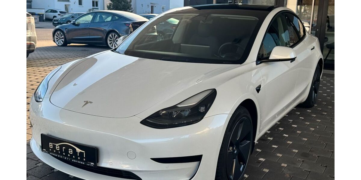 Tesla Model 3 55.000 km 28.900 &euro; Ludwigshafen 67063