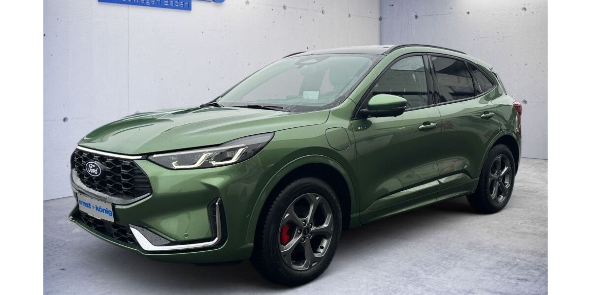 Ford Kuga 18.951 km 40.990 &euro; Singen 78224