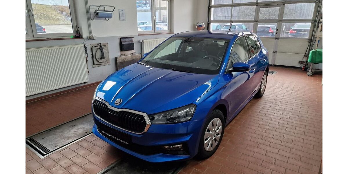 Skoda Fabia 5.300 km 17.200 &euro; Oberrieden 87769