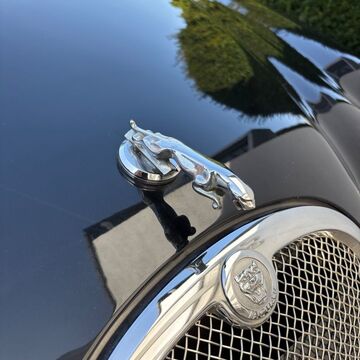 Gebrauchte Jaguar S-Type