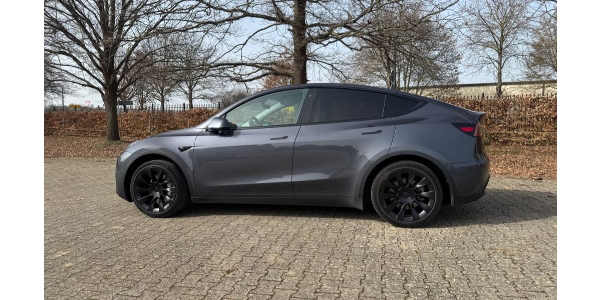 Tesla Model Y 54.300 km 28.500 &euro; Zülpich 53909