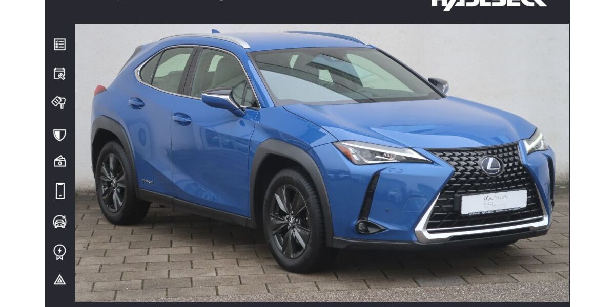 Lexus UX 123.890 km 19.880 &euro; Mühldorf 84453