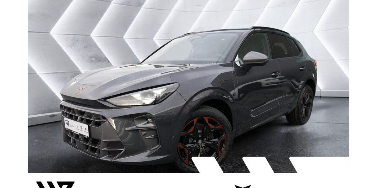 Cupra Terramar 15.000 km 43.537 &euro; Büdingen-Düdelsheim 63654