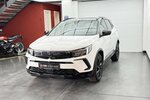Opel Grandland 1.2 Turbo GS Line CarPlay Cam 35.140 km 16.830 &euro; Lich 35423