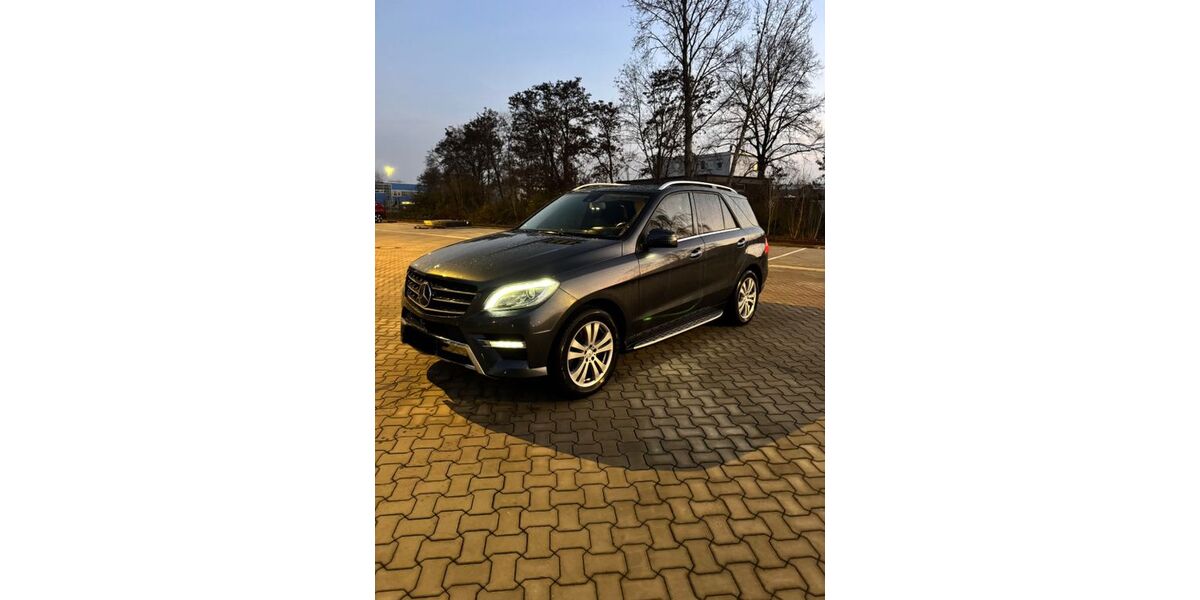 Mercedes-Benz ML 350 189.500 km 22.000 &euro; Meine 38527