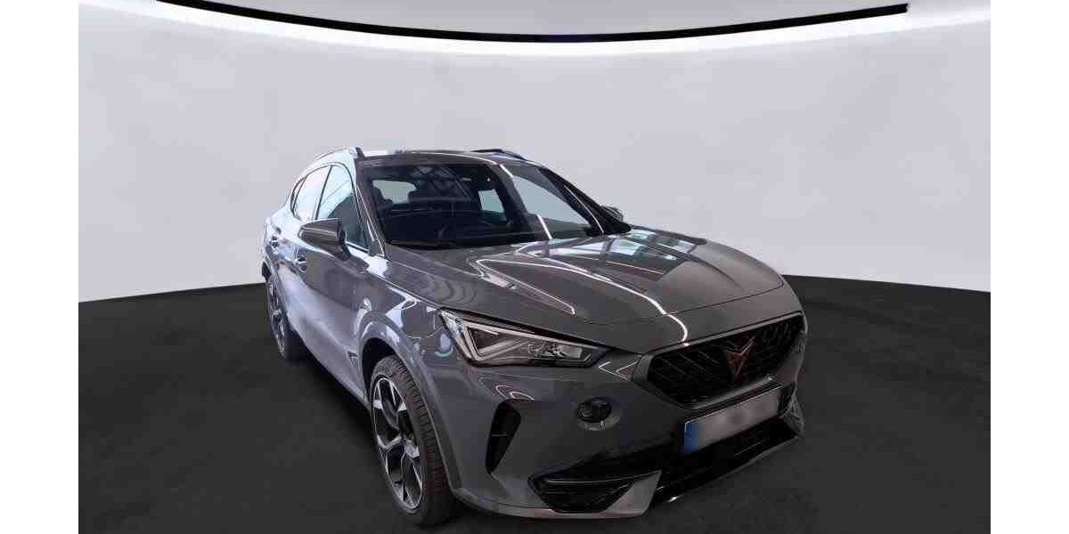 Cupra Formentor 59.465 km 27.950 &euro; Goslar 38644