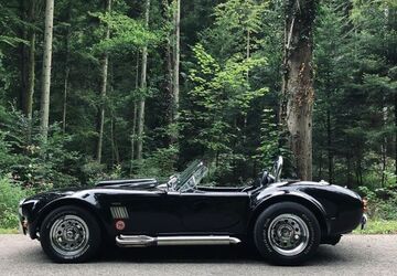 Cobra Andere 12.500 km 90.000 &euro; Eislingen 73054