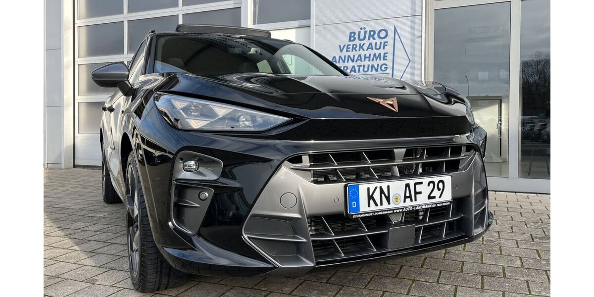 Cupra Terramar 7.900 km 42.790 &euro; Singen 78224