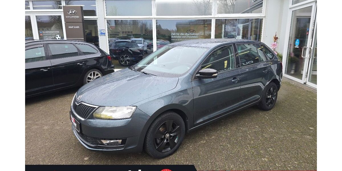Skoda Rapid 102.315 km 9.480 &euro; Hagenow 19230