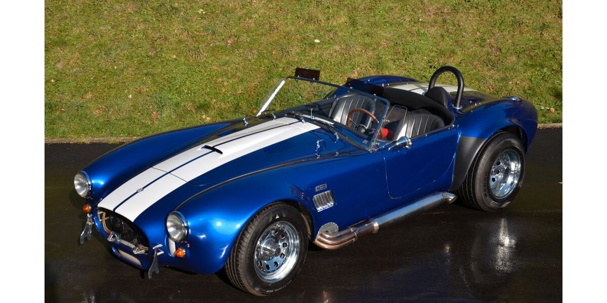 Cobra Andere 9.535 km 119.900 &euro; Hagen 58119