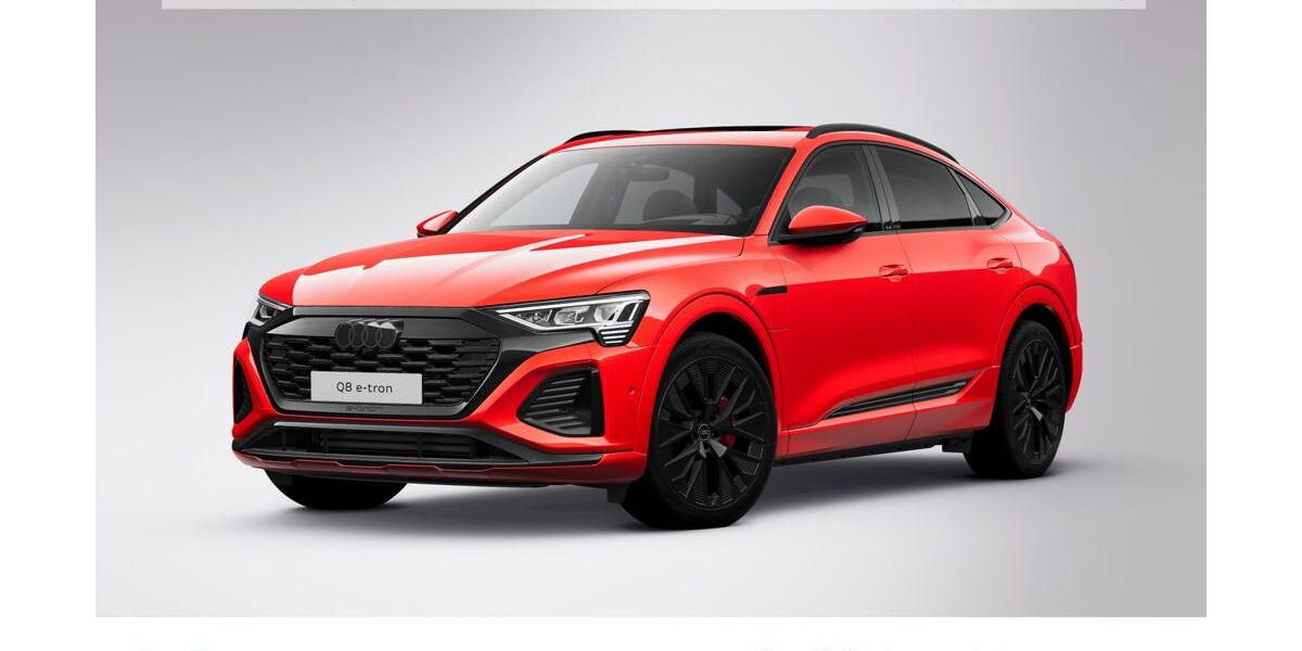 Audi Q8 e-tron 62.077 km 53.980 &euro; Hofheim 65719