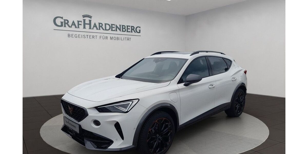 Cupra Formentor 11.750 km 32.990 &euro; Landau 76829