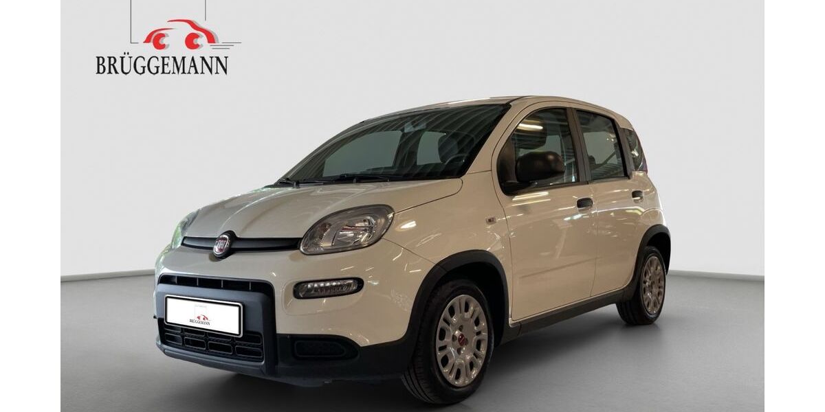 Fiat Panda 40.000 km 10.490 &euro; Osnabrück 49078