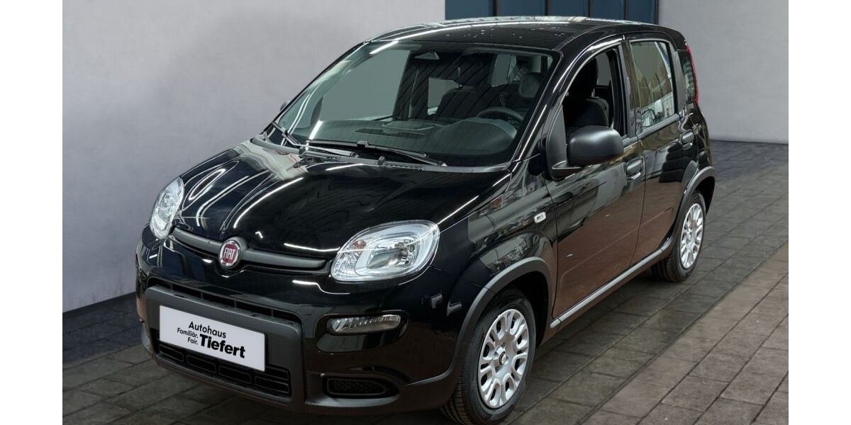 Fiat Panda 3.000 km 14.999 &euro; Lauchringen 79787