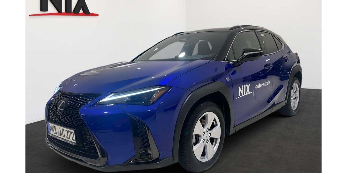 Lexus UX 8.500 km 43.200 &euro; Wächtersbach 63607