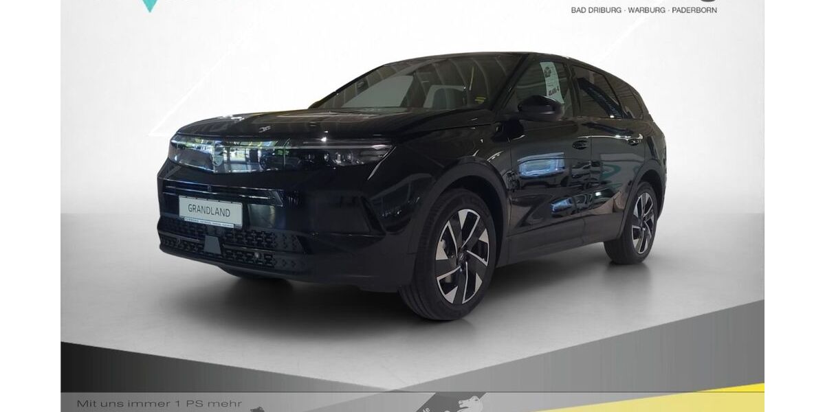 Opel Grandland (X) 7.500 km 39.890 &euro; Warburg 34414