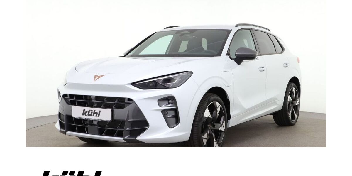 Cupra Terramar 4.600 km 39.780 &euro; Gifhorn 38518