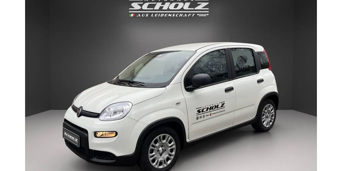 Fiat Panda 6.952 km 14.990 &euro; Bautzen 02625