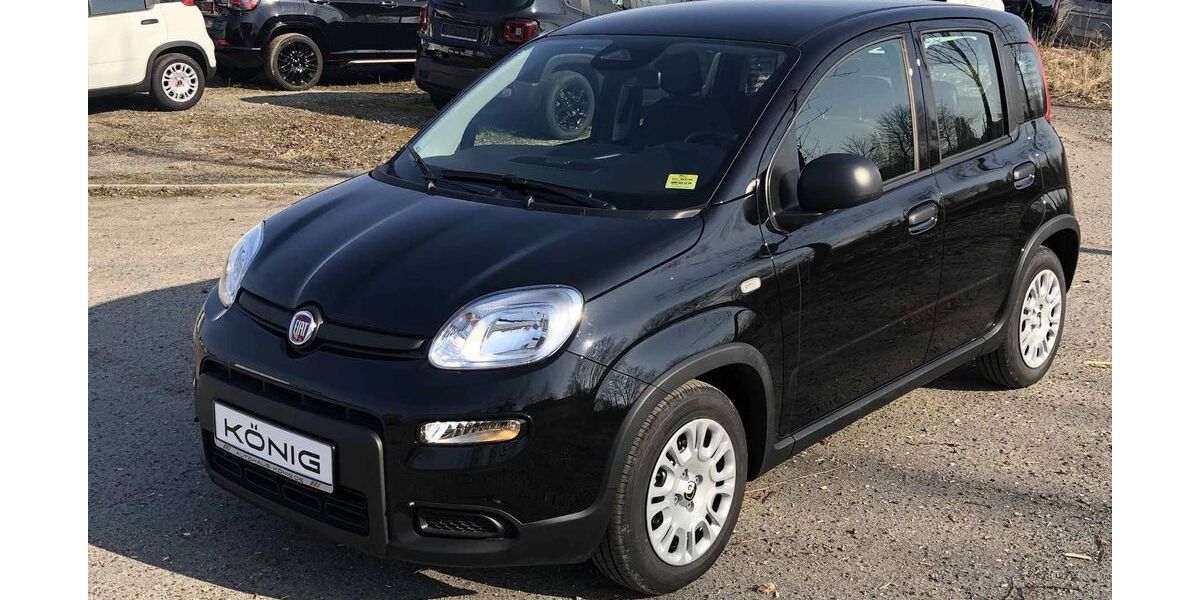 Fiat Panda 2.100 km 14.289 &euro; Massen 03238