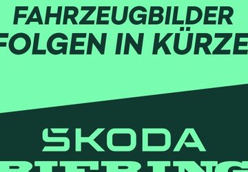 Skoda Karoq 2.000 km 43.950 &euro; Schwielowsee OT Geltow 14548