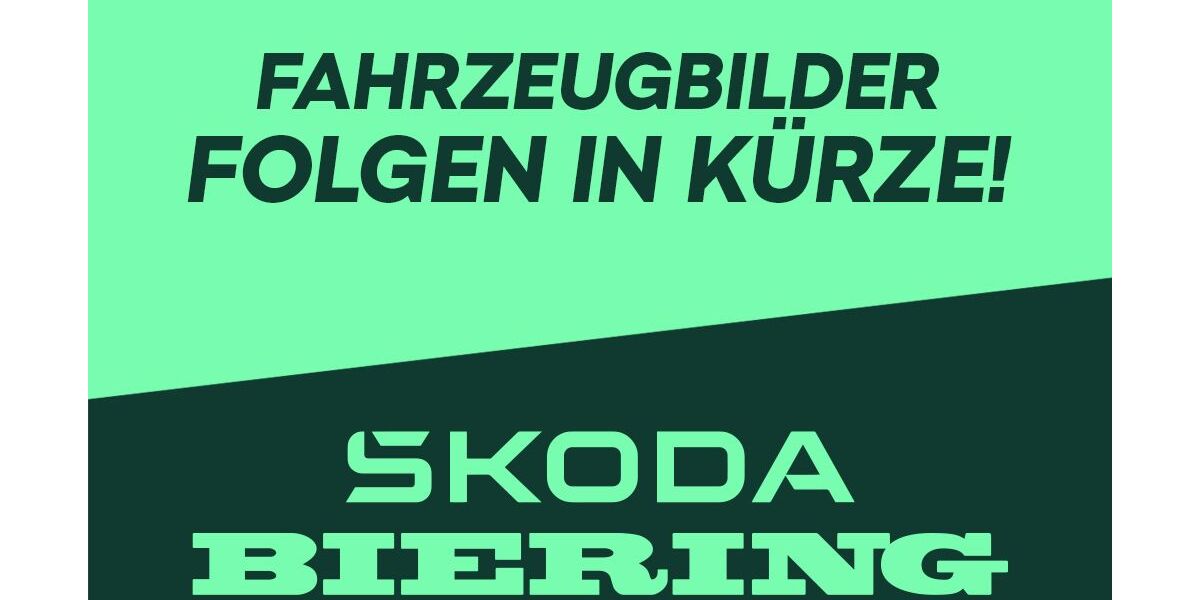 Skoda Karoq 2.000 km 43.950 &euro; Schwielowsee OT Geltow 14548