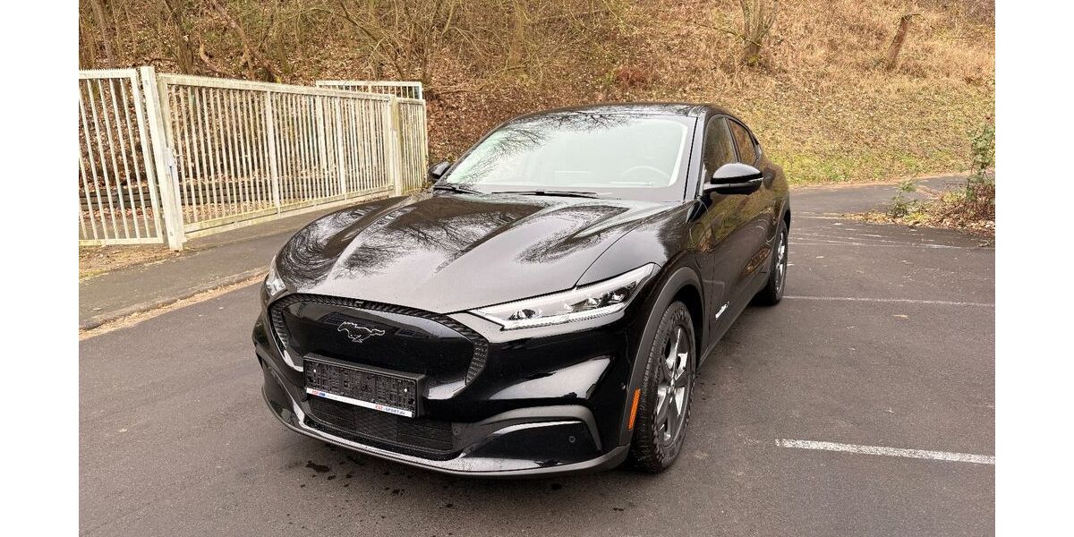 Ford Mustang Mach-E 10.600 km 35.900 &euro; Hann. Münden 34346