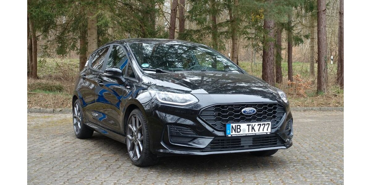 Ford Fiesta 23.347 km 18.900 &euro; Neubrandenburg 17033