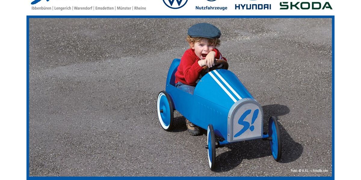 Skoda Octavia 24.167 km 33.930 &euro; Münster 48153