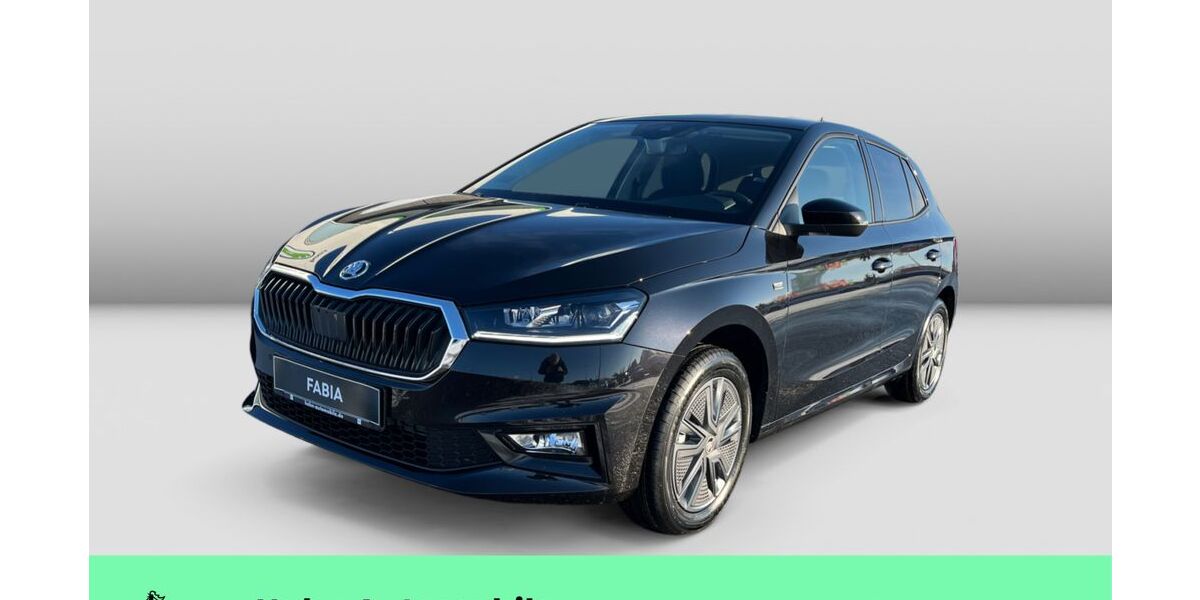 Skoda Fabia 1.111 km 19.999 &euro; Weinstadt-Endersbach 71384