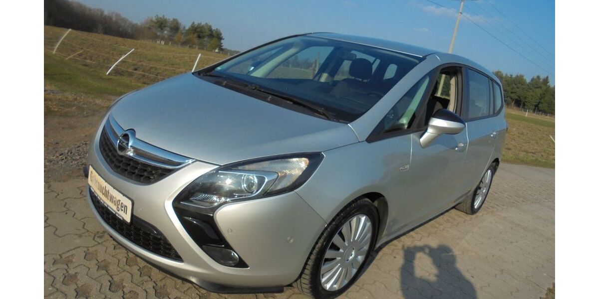 Opel Zafira 71.200 km 9.999 &euro; Schleifreisen 07629