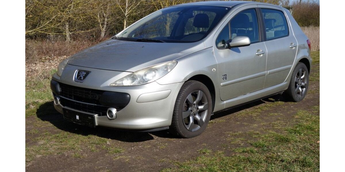 Peugeot 307 219.800 km 1.999 &euro; Magdeburg 39110