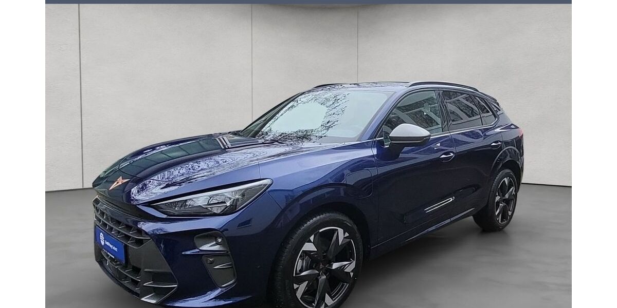 Cupra Terramar 8.000 km 38.980 &euro; Rendsburg 24768