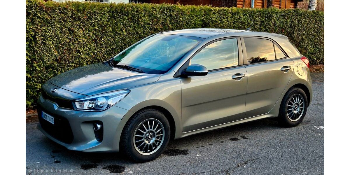 Kia Rio 69.000 km 10.499 &euro; Selb 95100