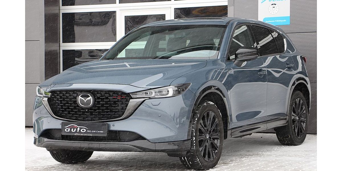 Mazda CX-5 93.176 km 29.900 &euro; Pampow 19075