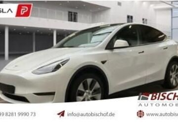 Tesla Model Y 61.500 km 30.900 &euro; Thannhausen 86470
