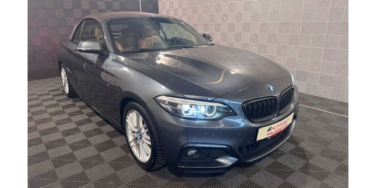 BMW 230 89.950 km 23.580 &euro; Horb am Neckar 72160
