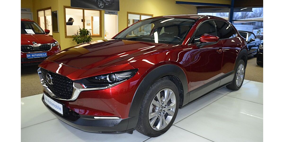 Mazda CX-3 24.000 km 18.880 &euro; Bad Doberan 18209