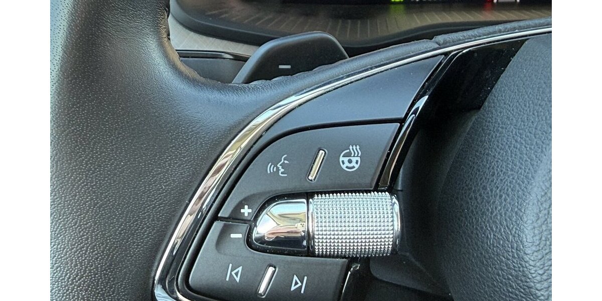 Skoda Kodiaq 2.0 TDi 4x4 DSG Virtual Matrix 360° Kamera 193.100 km 24.600 &euro; Altdorf 84032