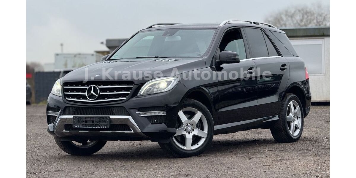 Mercedes-Benz ML 350 175.000 km 18.750 &euro; Hammah 21714