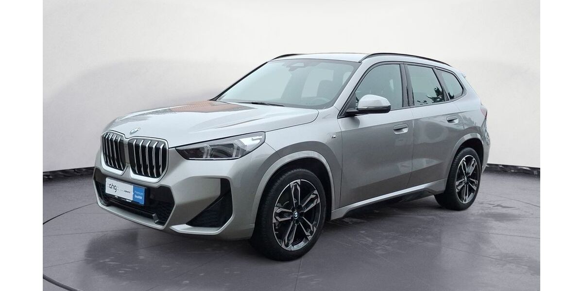 BMW X1 32.018 km 43.930 &euro; Lahr 77933