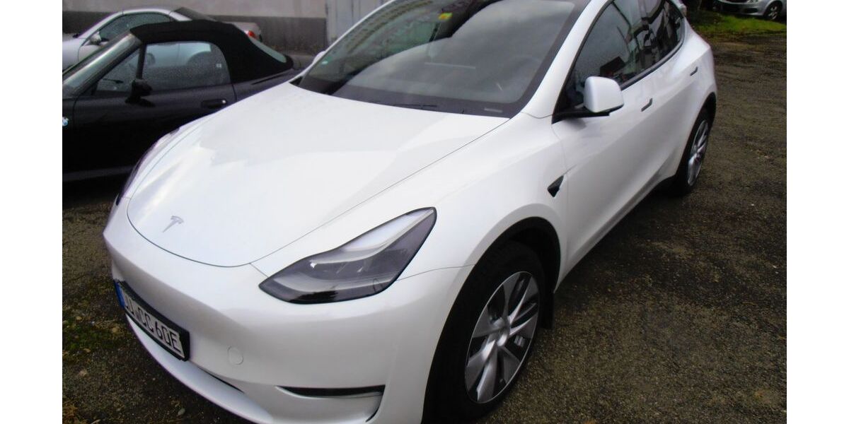 Tesla Model Y 85.000 km 39.900 &euro; Ludwigshafen am Rhein 67071